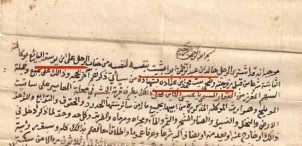 صورة العائلة 19